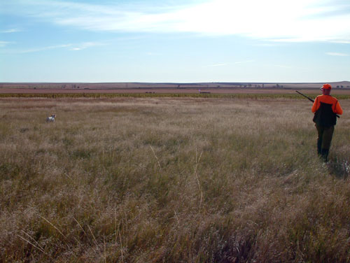 South Dakota prairie